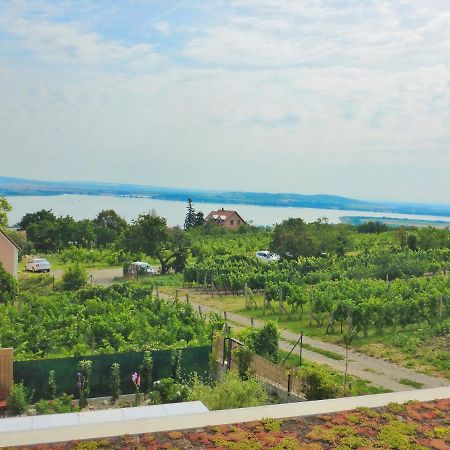 Rezidence Palava Apartman Pavlov Kültér fotó